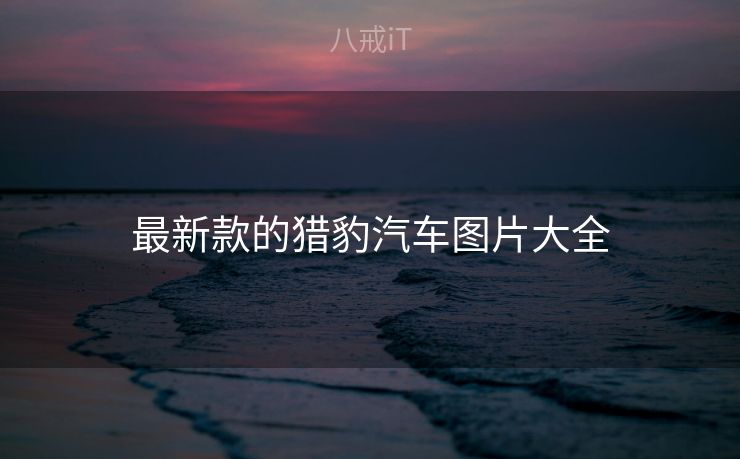 最新款的猎豹汽车图片大全