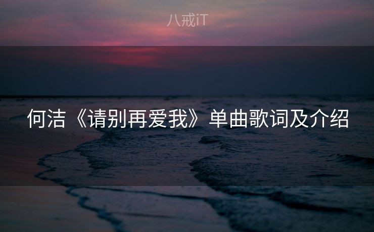 何洁《请别再爱我》单曲歌词及介绍