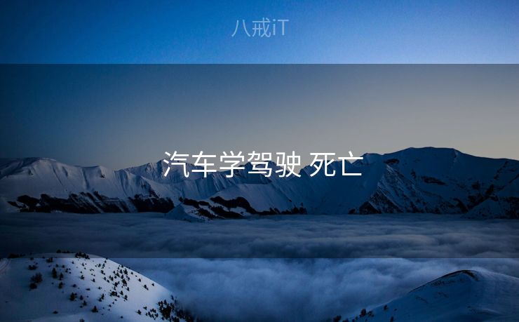  汽车学驾驶 死亡