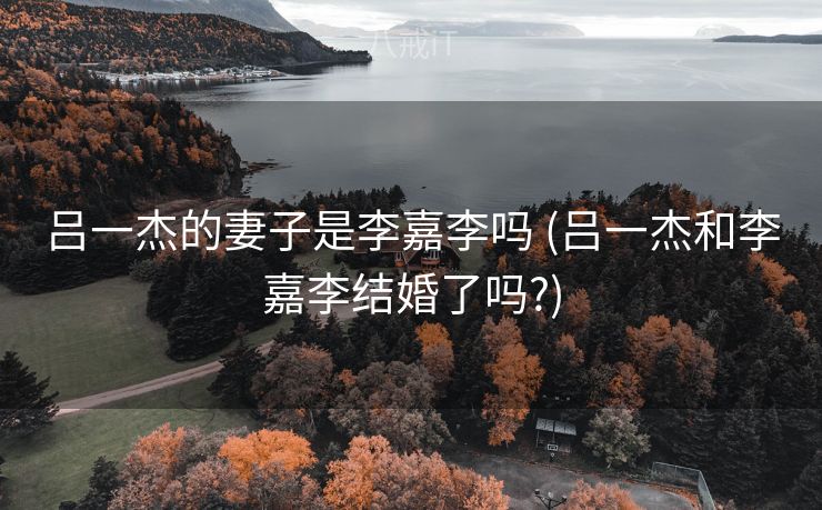 吕一杰的妻子是李嘉李吗 (吕一杰和李嘉李结婚了吗?)