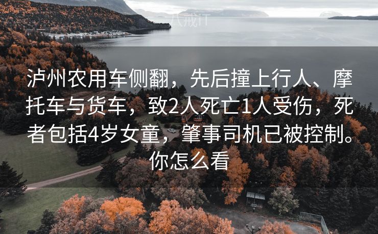 泸州农用车侧翻，先后撞上行人、摩托车与货车，致2人死亡1人受伤，死者包括4岁女童，肇事司机已被控制。你怎么看