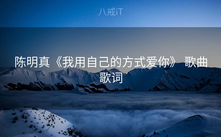 陈明真《我用自己的方式爱你》 歌曲歌词