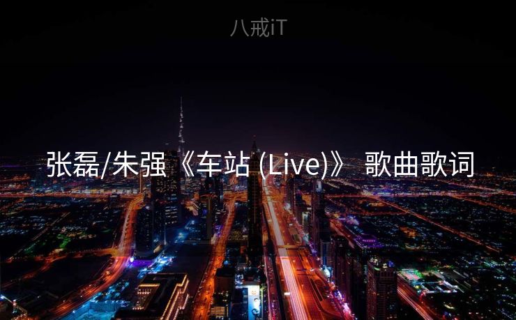 张磊/朱强《车站 (Live)》 歌曲歌词