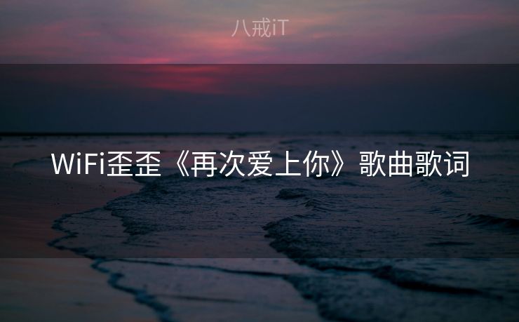 WiFi歪歪《再次爱上你》歌曲歌词