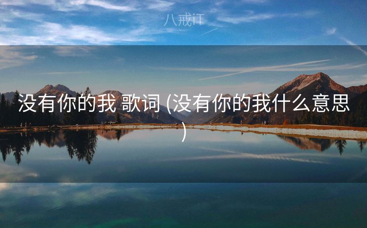 没有你的我 歌词 (没有你的我什么意思)