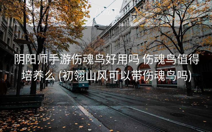 阴阳师手游伤魂鸟好用吗 伤魂鸟值得培养么 (初翎山风可以带伤魂鸟吗)