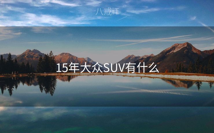 15年大众SUV有什么