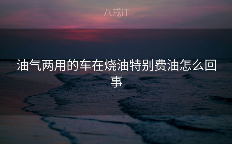 油气两用的车在烧油特别费油怎么回事
