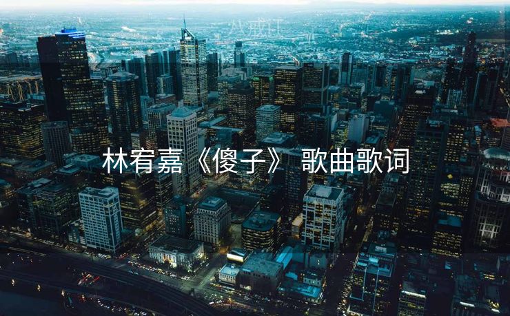林宥嘉《傻子》 歌曲歌词