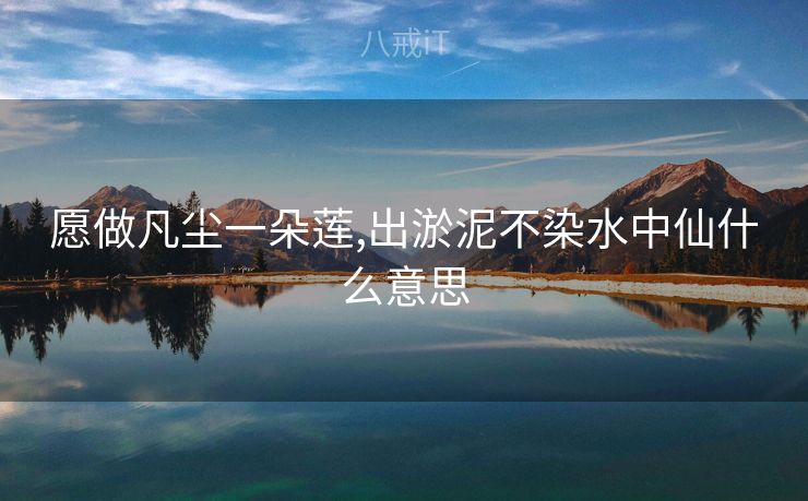 愿做凡尘一朵莲,出淤泥不染水中仙什么意思