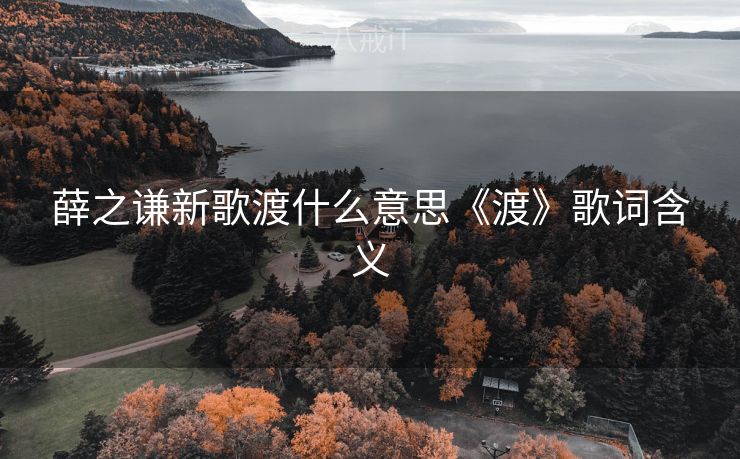 薛之谦新歌渡什么意思《渡》歌词含义