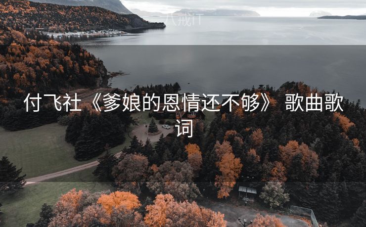 付飞社《爹娘的恩情还不够》 歌曲歌词