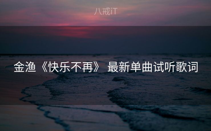 金渔《快乐不再》 最新单曲试听歌词