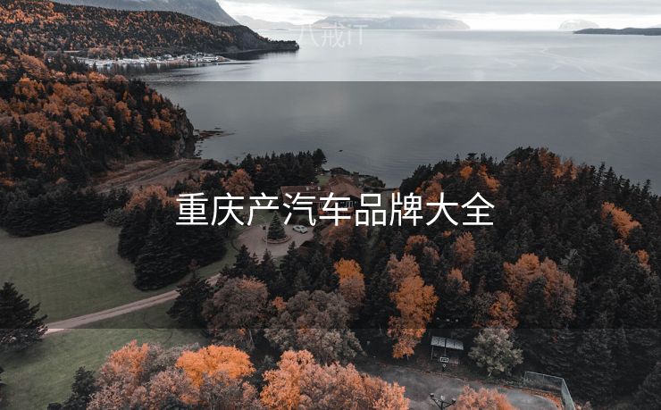  重庆产汽车品牌大全