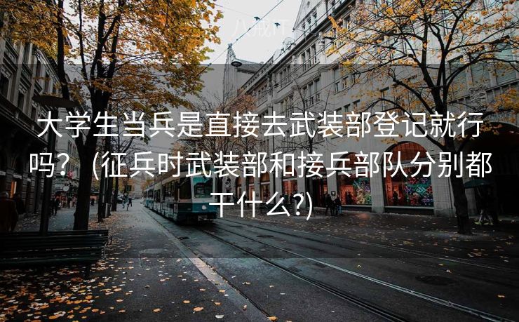 大学生当兵是直接去武装部登记就行吗？ (征兵时武装部和接兵部队分别都干什么?)
