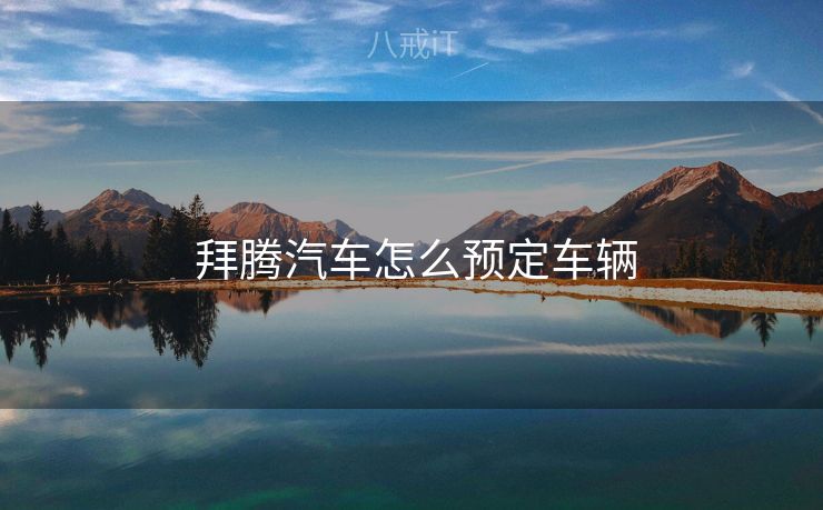  拜腾汽车怎么预定车辆
