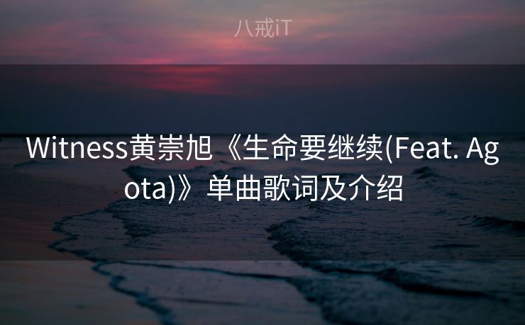 Witness黄崇旭《生命要继续(Feat. Agota)》单曲歌词及介绍