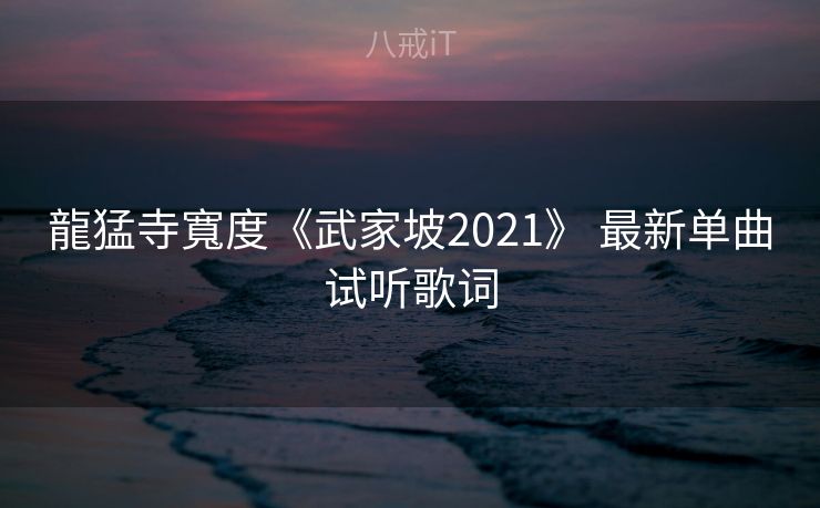 龍猛寺寬度《武家坡2021》 最新单曲试听歌词