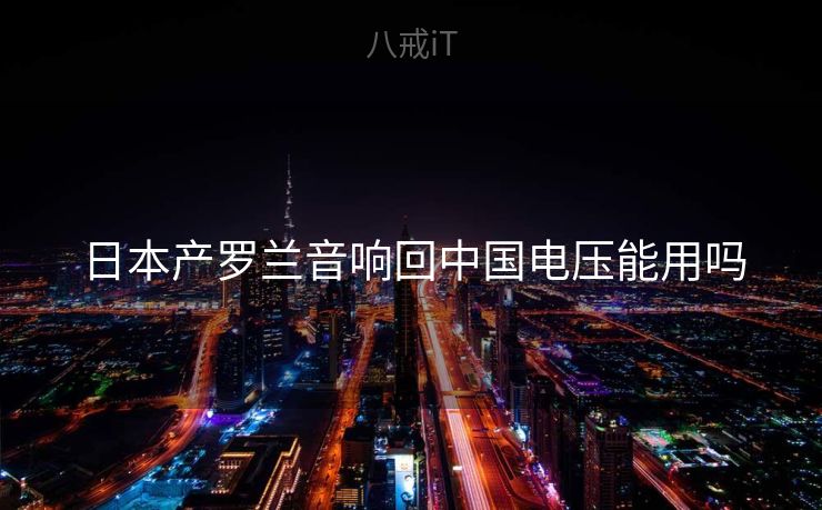 日本产罗兰音响回中国电压能用吗