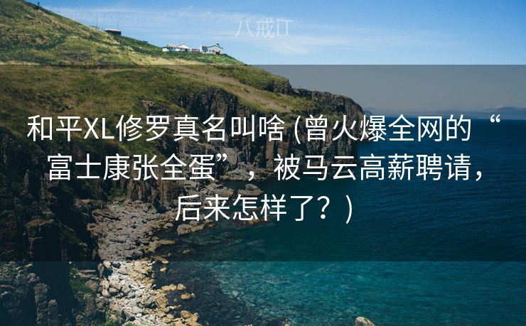 和平XL修罗真名叫啥 (曾火爆全网的“富士康张全蛋”，被马云高薪聘请，后来怎样了？)