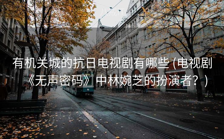 有机关城的抗日电视剧有哪些 (电视剧《无声密码》中林婉芝的扮演者？)