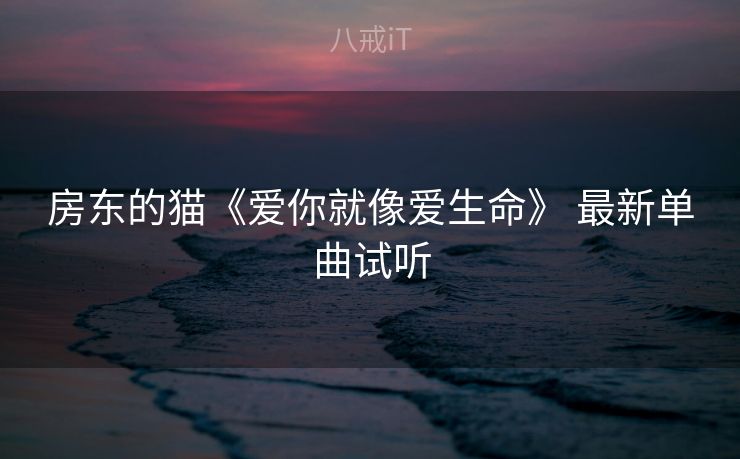 房东的猫《爱你就像爱生命》 最新单曲试听