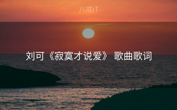 刘可《寂寞才说爱》 歌曲歌词