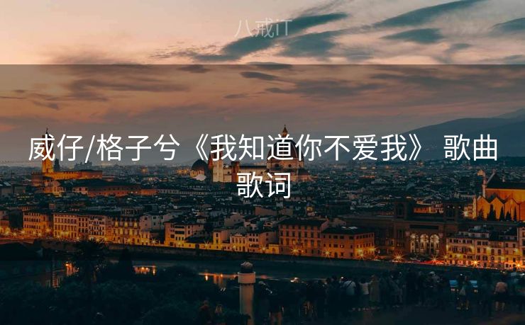 威仔/格子兮《我知道你不爱我》 歌曲歌词
