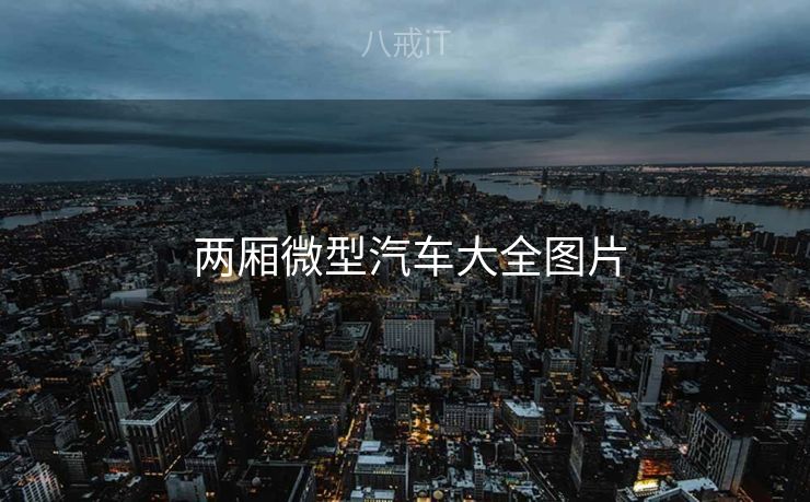  两厢微型汽车大全图片