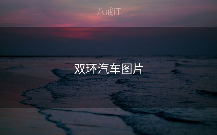 双环汽车图片
