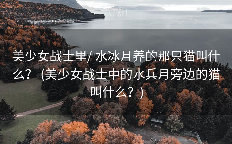 美少女战士里/ 水冰月养的那只猫叫什么？ (美少女战士中的水兵月旁边的猫叫什么？)