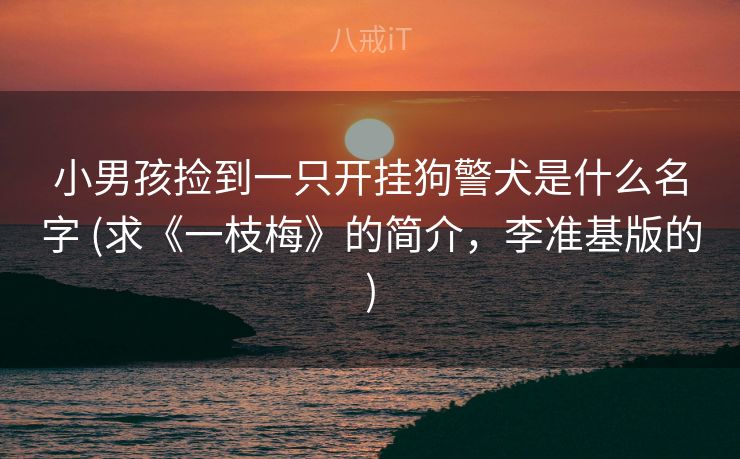小男孩捡到一只开挂狗警犬是什么名字 (求《一枝梅》的简介，李准基版的)