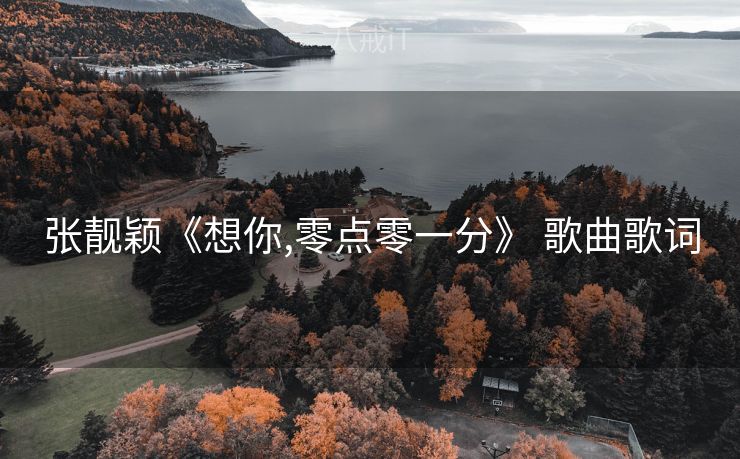 张靓颖《想你,零点零一分》 歌曲歌词