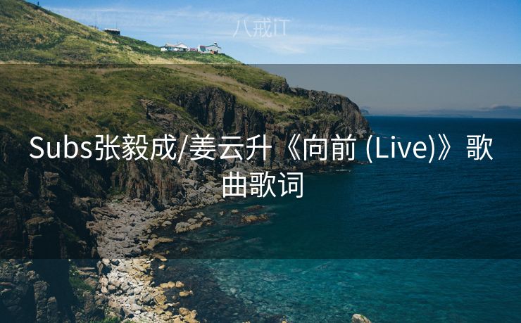 Subs张毅成/姜云升《向前 (Live)》歌曲歌词
