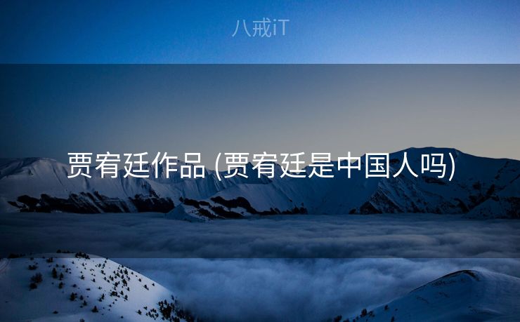 贾宥廷作品 (贾宥廷是中国人吗)