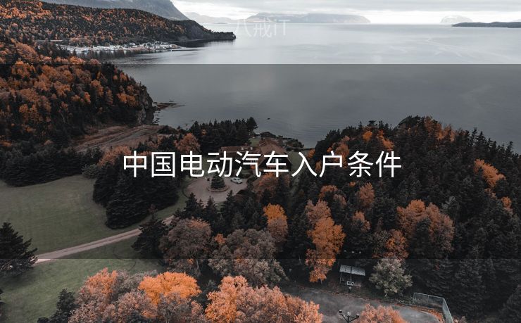 中国电动汽车入户条件