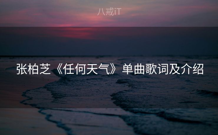张柏芝《任何天气》单曲歌词及介绍