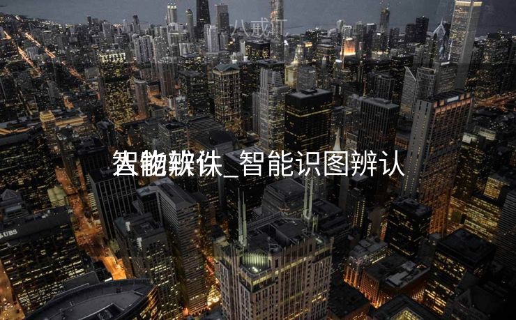 智能辨认
人物软件_智能识图辨认
人物