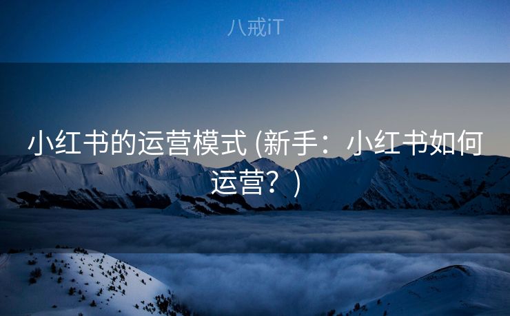 小红书的运营模式 (新手：小红书如何运营？)