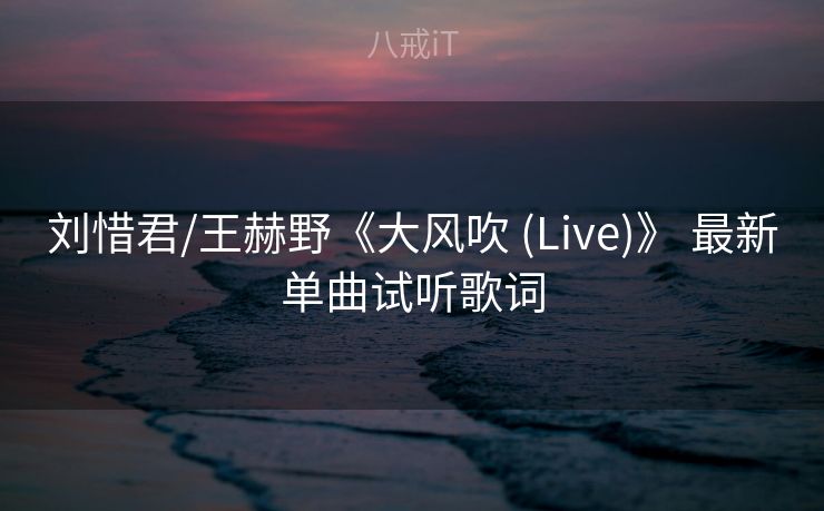 刘惜君/王赫野《大风吹 (Live)》 最新单曲试听歌词