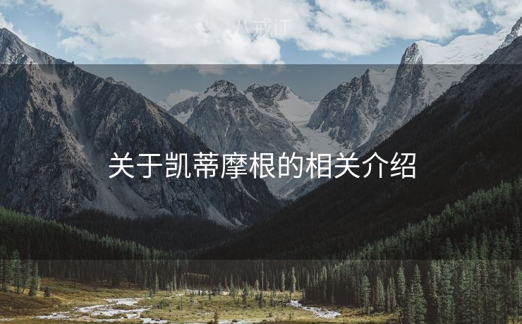 关于凯蒂摩根的相关介绍