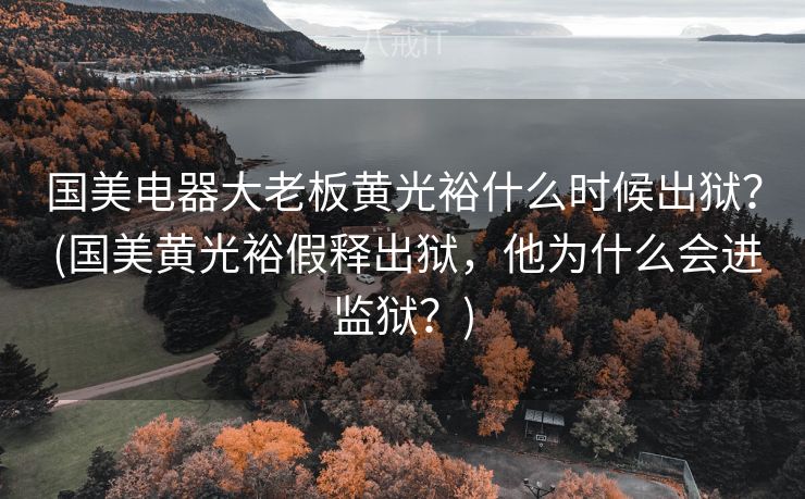 国美电器大老板黄光裕什么时候出狱？ (国美黄光裕假释出狱，他为什么会进监狱？)