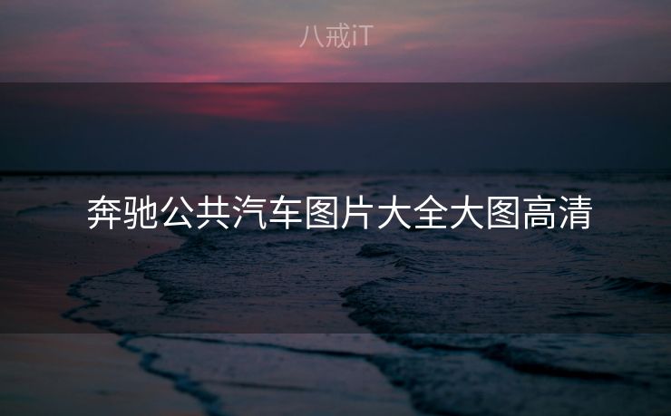  奔驰公共汽车图片大全大图高清