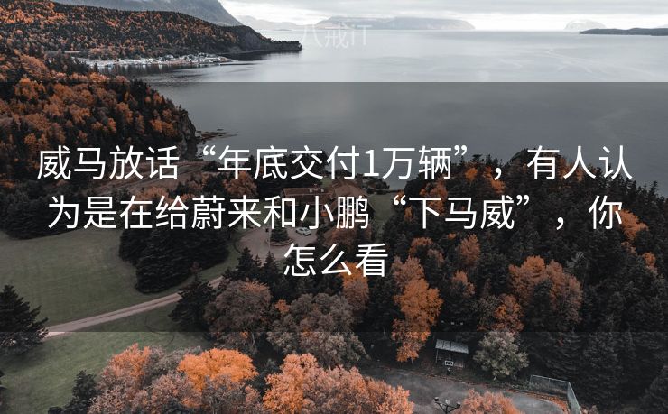 威马放话“年底交付1万辆”，有人认为是在给蔚来和小鹏“下马威”，你怎么看