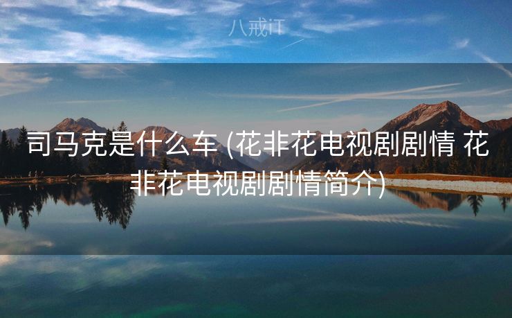 司马克是什么车 (花非花电视剧剧情 花非花电视剧剧情简介)