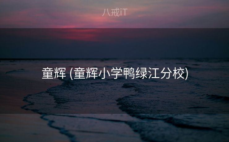 童辉 (童辉小学鸭绿江分校)
