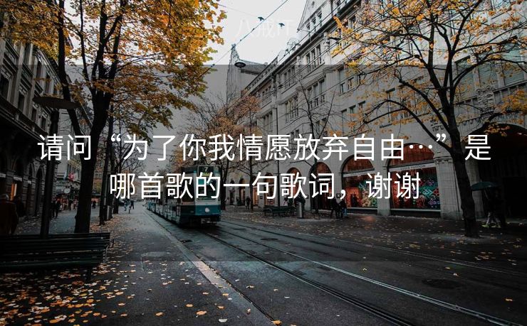 请问“为了你我情愿放弃自由…”是哪首歌的一句歌词，谢谢