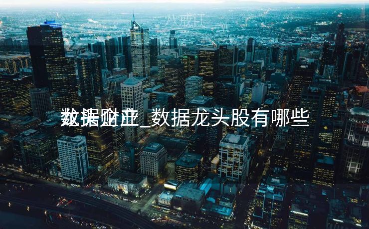 数据财产
龙头企业_数据龙头股有哪些