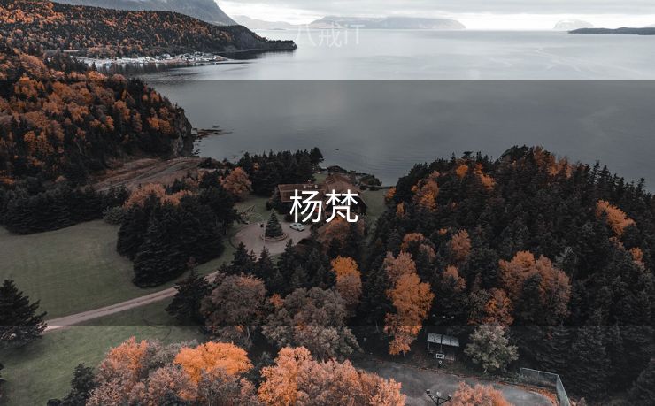 杨梵 