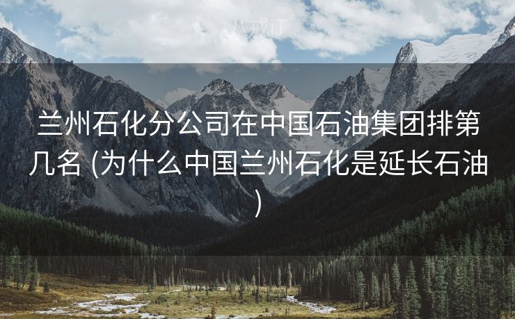 兰州石化分公司在中国石油集团排第几名 (为什么中国兰州石化是延长石油)